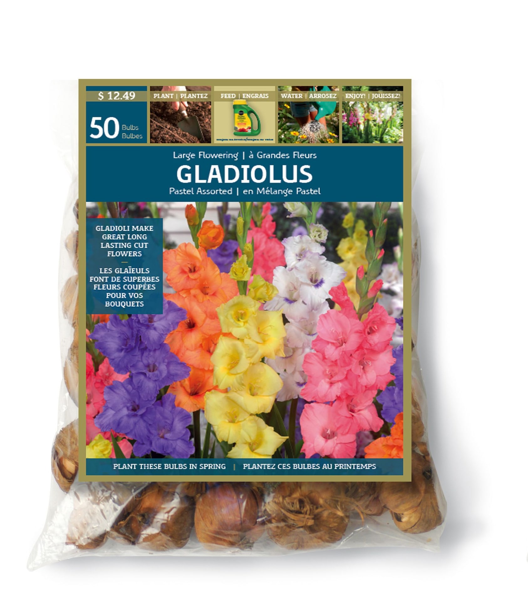 Gladiolus Pastel Bulbs Canadian Tire