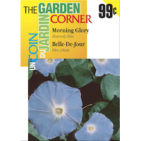 Graines McKenzie Un coin de jardin, belles de jour