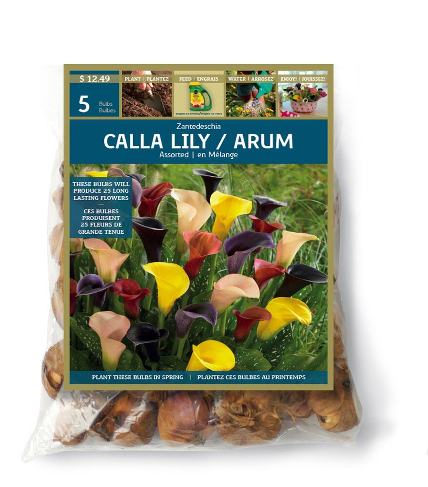 Calla Lily Zantedeschia Bulbs | Canadian Tire