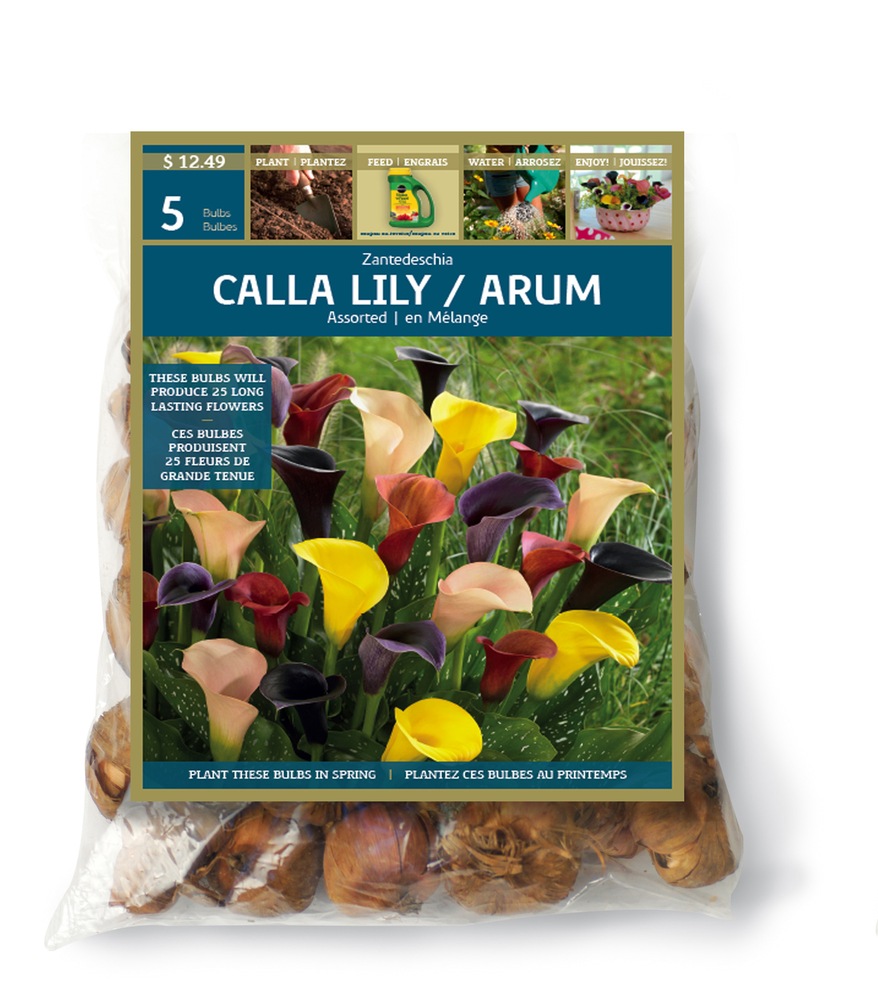 Calla Lily Zantedeschia Bulbs Canadian Tire