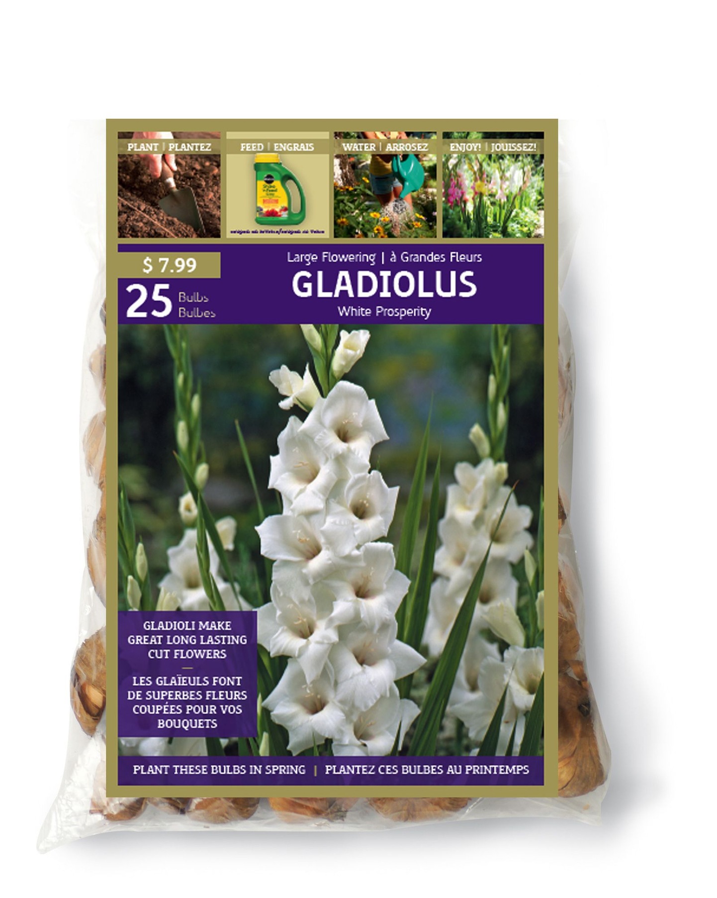 Gladiolus Prosperity Bulbs, White Canadian Tire