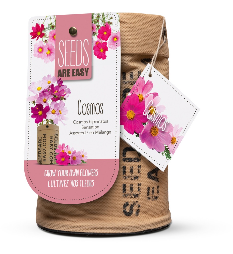Seeds Are Easy, Flower Kit, Cosmos Comes with Jute Planter, Potting