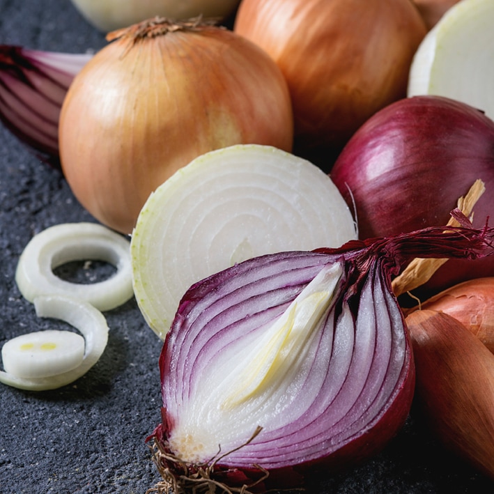 Bulbs Are Easy, Mixed Onion Bulbs, Assorted Varieties, Home Garden