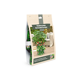 Bulbs Are Easy, Strawberry Bulbs, Ready for your Home Garden Front_Three_Fourths_Angled_Right