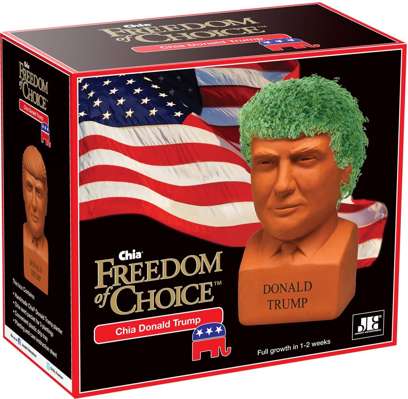 Chia Pet, Decorative Pottery Planter Bob Ross The Joy of Painting, Novelty  Gift