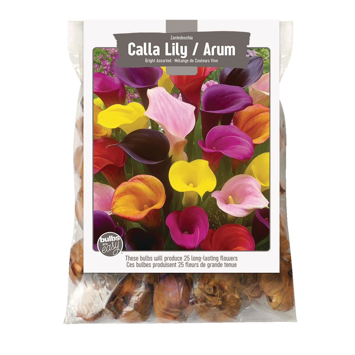 Bulbs Are Easy Bright Zantedeschia Calla Lily Bulbs Assorted Varieties   Calla Lily Zantadeschia Bright Assorted 16b70acf C41b 4c5f Bac7 31e7357aa5cd Jpgrendition 