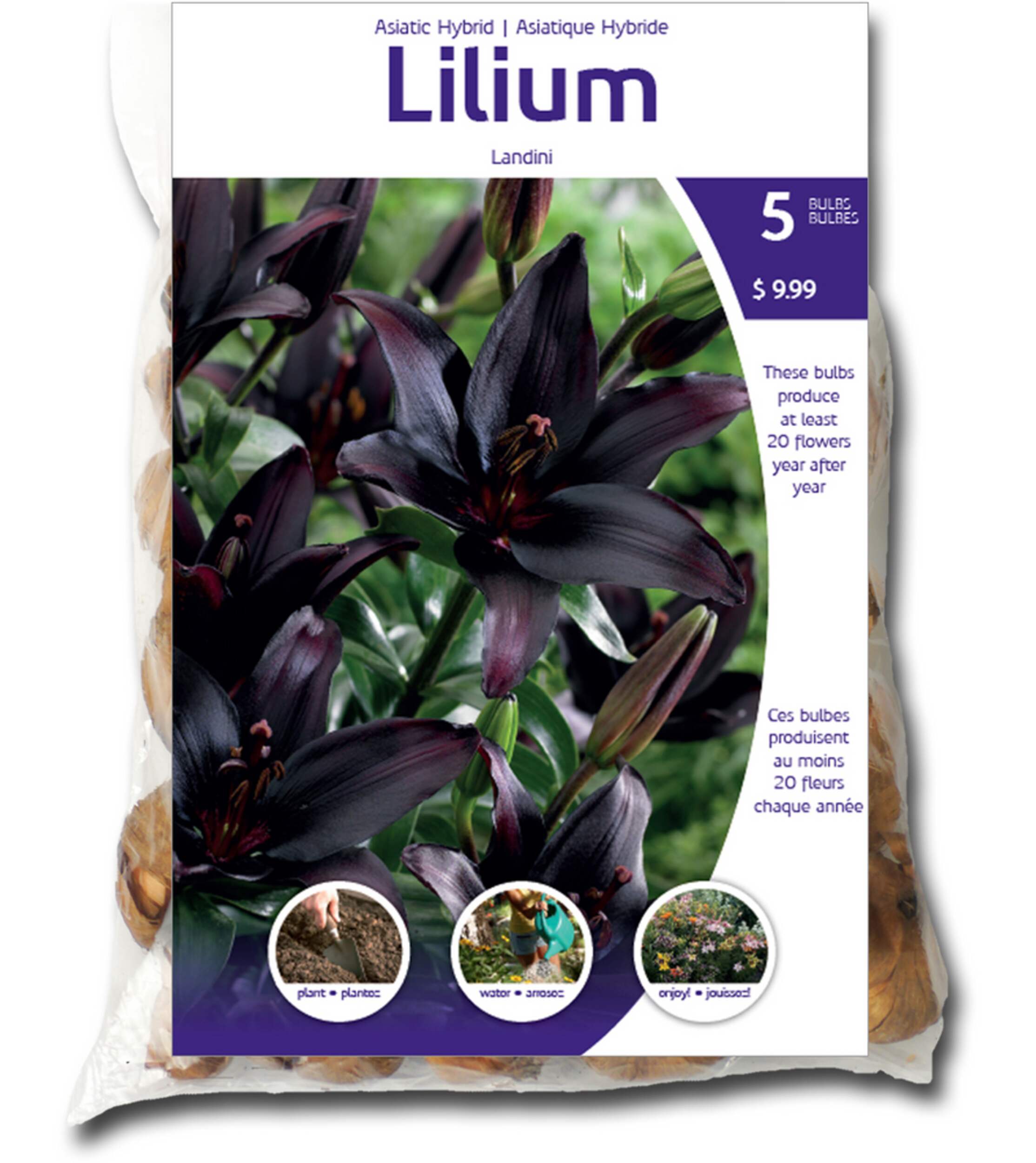 Lilies Landini Bulbs For Planting Canadian Tire