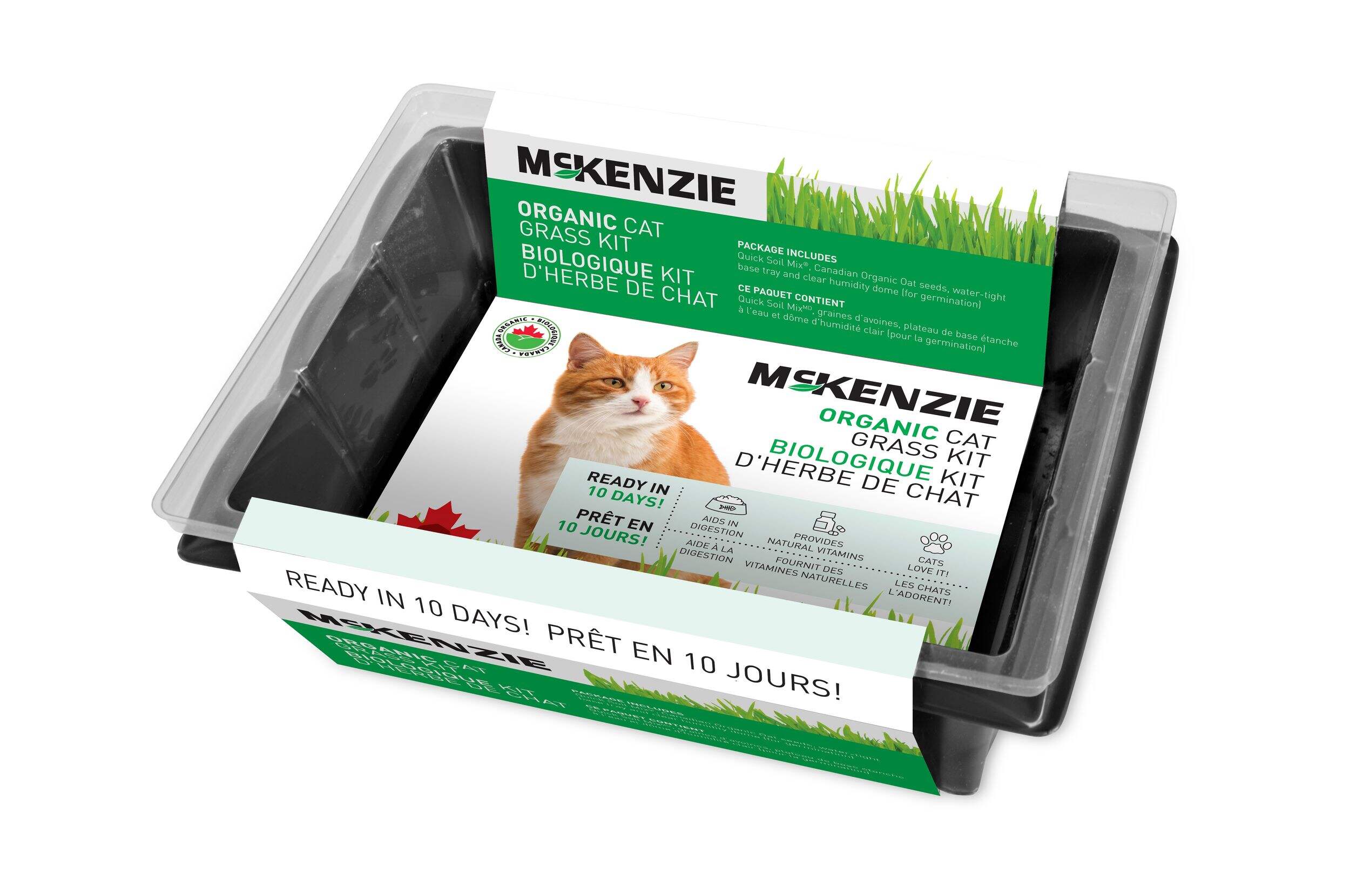 McKenzie, Cat Grass Kit, Aids in cats digestion Overhead_Plunge
