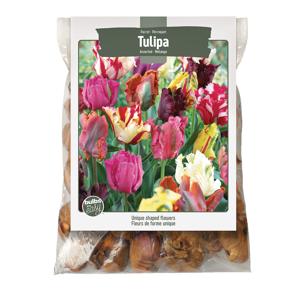 Bulbs Are Easy, Tulip Bulbs, Parrot, Assorted Varieties, For Your Home
