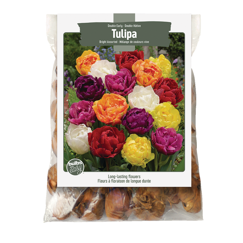 Bulbs Are Easy, Double Bright Tulip Bulbs, Assorted Varieties, Home