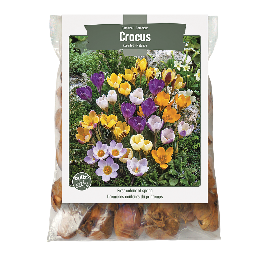 Bulbs Are Easy, Botanical Crocus Bulbs, Assorted Varieties, Home Garden Canadian Tire