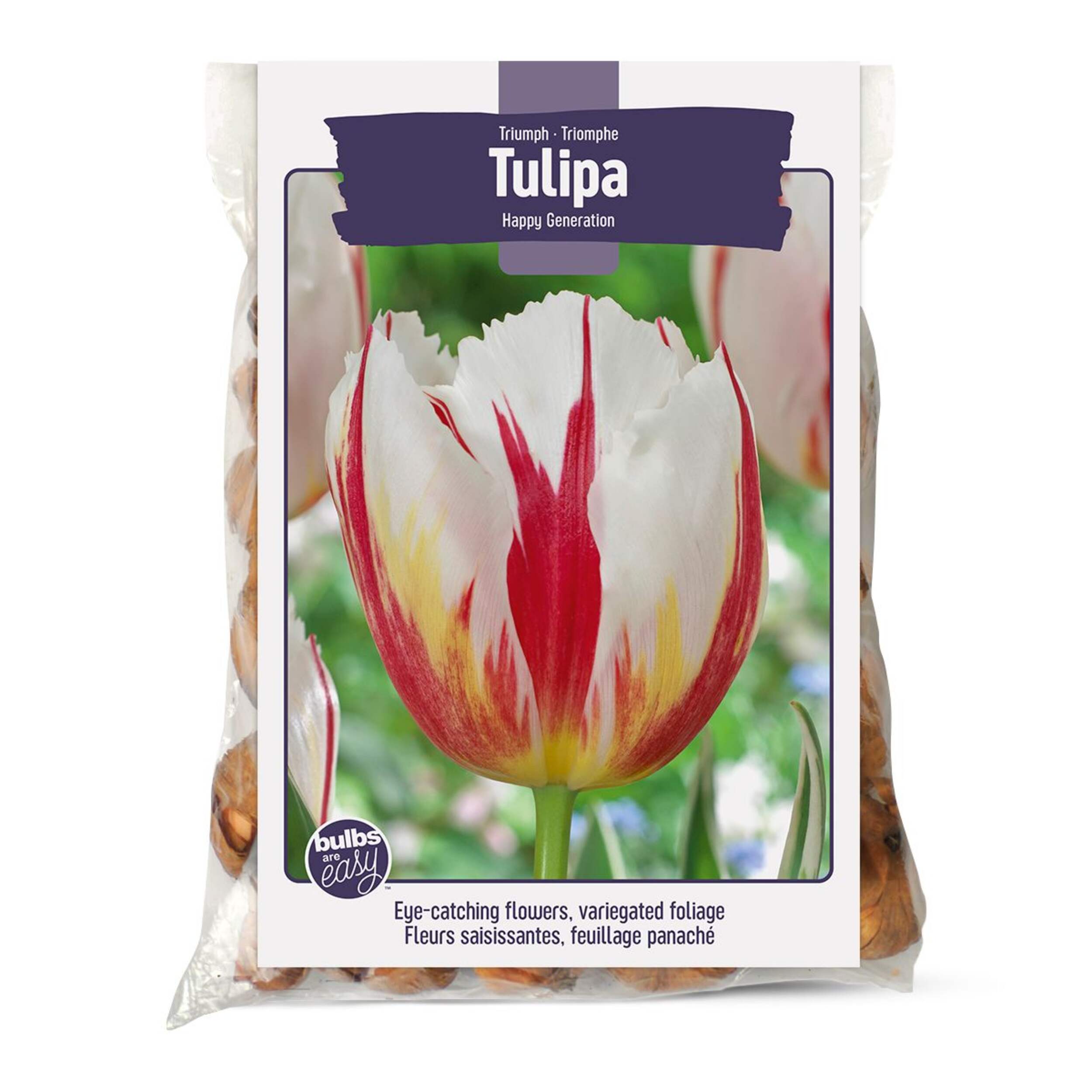 Bulbs Are Easy, Happy Generation Tulip Bulbs, Assorted Varieties, Home Garden Front_Flat