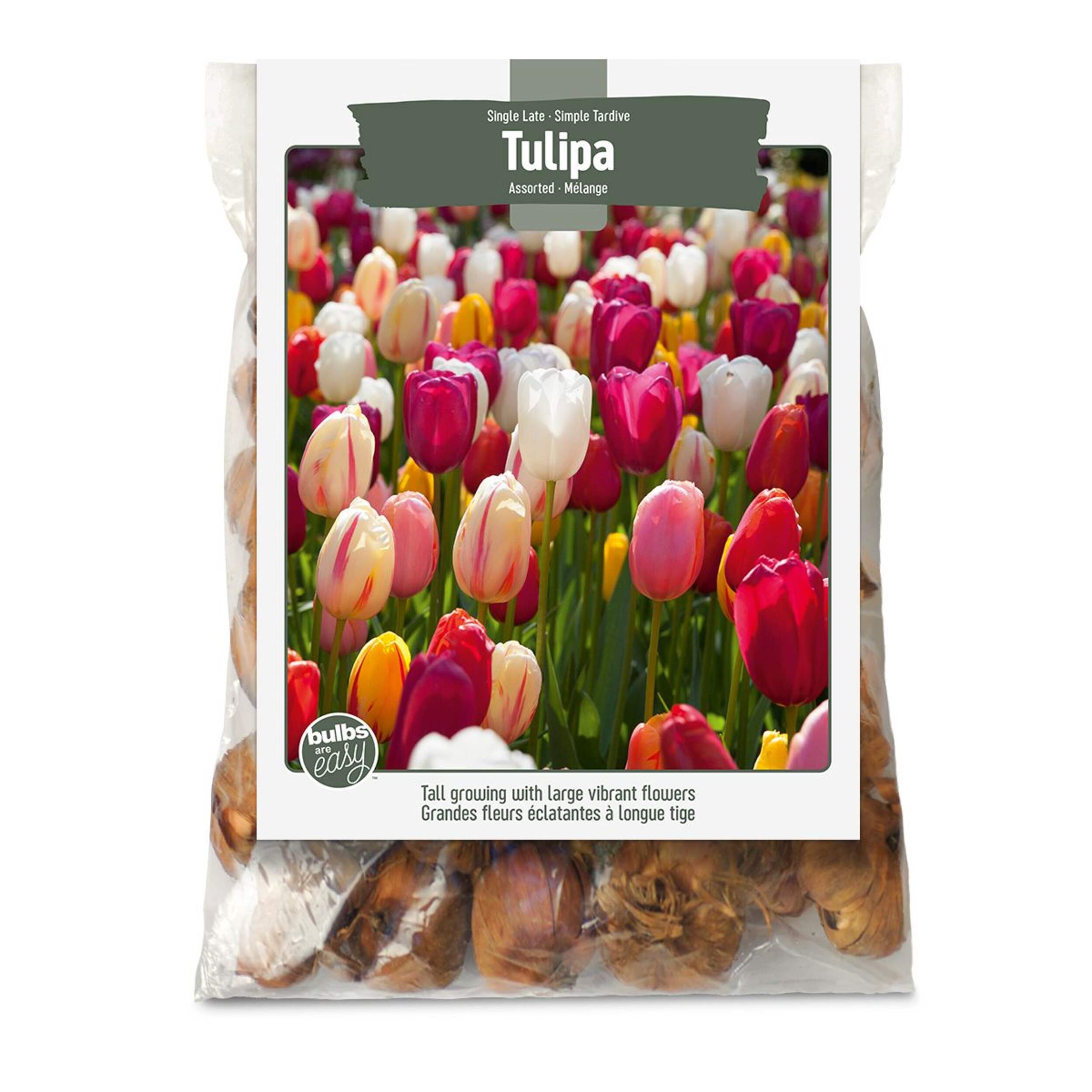 Bulbs Are Easy, Tulip Bulbs, Single Late, Assorted, For Your Home Garden Front_Flat