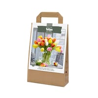 Bulbes de tulipe triomphe variés Bulbs Are Easy Front_Three_Fourths_Angled_Right
