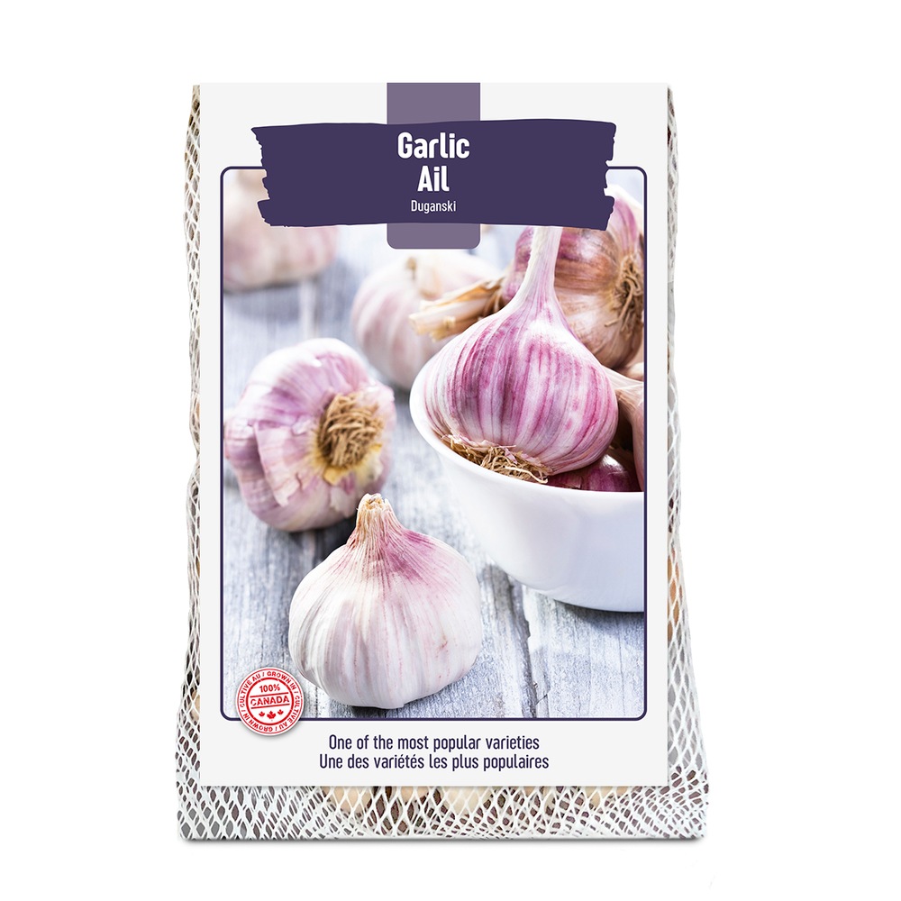 Bulbs Are Easy, Duganski Fall Garlic Bulb, Ready to Plant for your Home