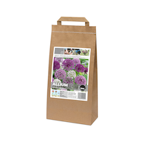 Bulbes de fleur allium variés Bulbs Are Easy Front_Three_Fourths_Angled_Left