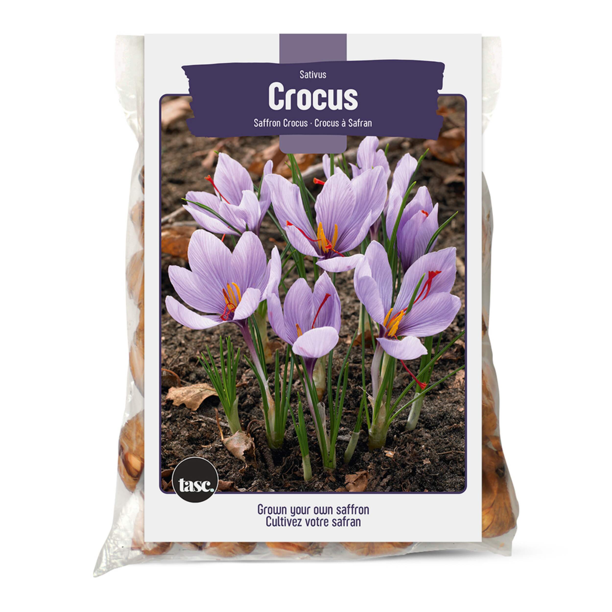 Bulbs Are Easy Saffron Crocus Bulb, For Your Home Garden Canadian Tire