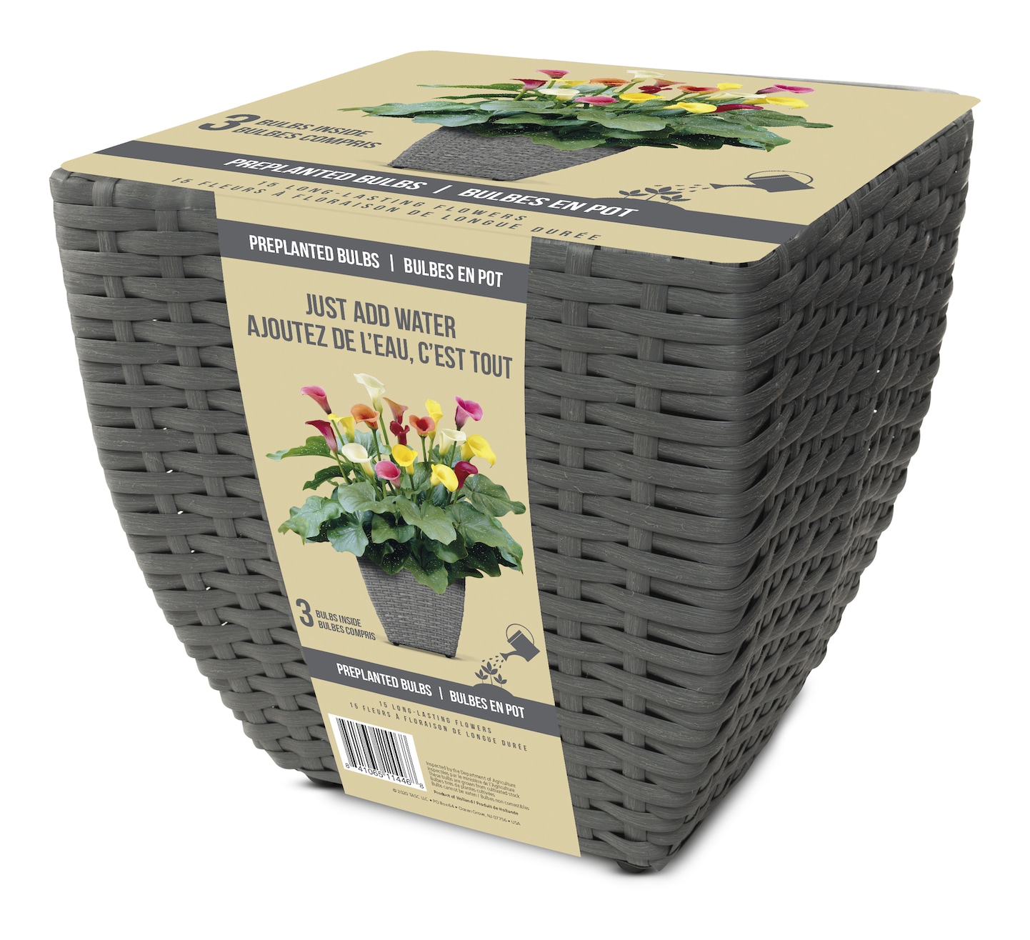 Bulbs Are Easy, PrePlanted Calla Lily Flower Bulb Kits, Just Add Water