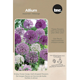 Bulbs are Easy Allium Assorted Bulb Front_Flat