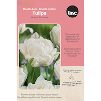 Bulbs are Easy  Tulip Double Late Mount Tacoma Bulb Front_Flat