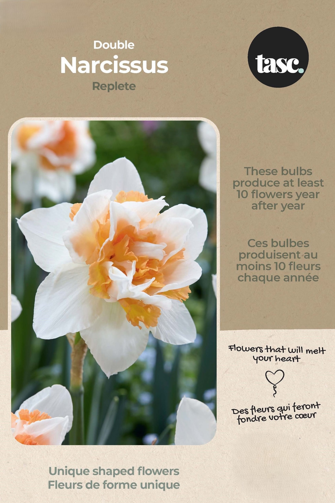 Bulbs are Easy Narcissus Double Replete Bulb