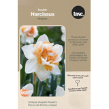 Bulbs are Easy Narcissus Double Replete Bulb CloseUp