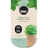 Seeds Are Easy - Trousse de thé à la menthe comprenant une jardinière en jute, du terreau d'empotage et des semences Front_Flat