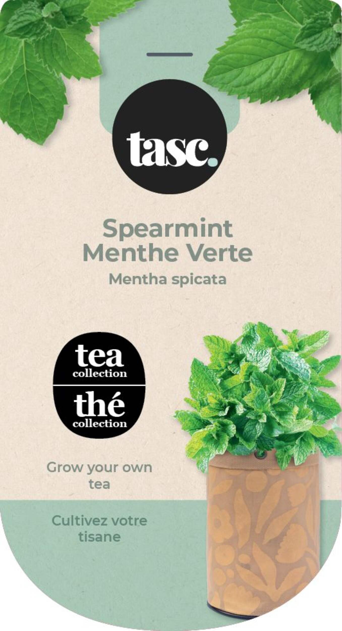 Seeds Are Easy, Mint Tea Kit, Comes with Jute Planter, Potting Soil, Seeds Front_Flat