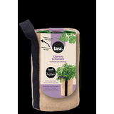 Seeds Are Easy - Trousse de fines herbes Coriande comprenant une jardinière en jute, du terreau d'empotage, des semences, assortiment Front_Elevated
