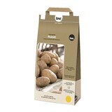Bulbs Are Easy, Russet Goldrush Seed Potato, Ready to Plant for your Home Garden Front_Three_Fourths_Angled_Left