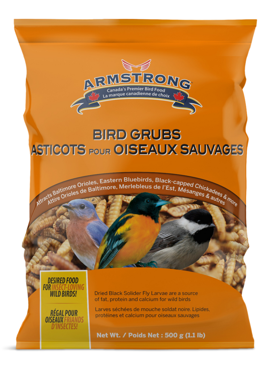 Armstrong Bird Grubs 500 g