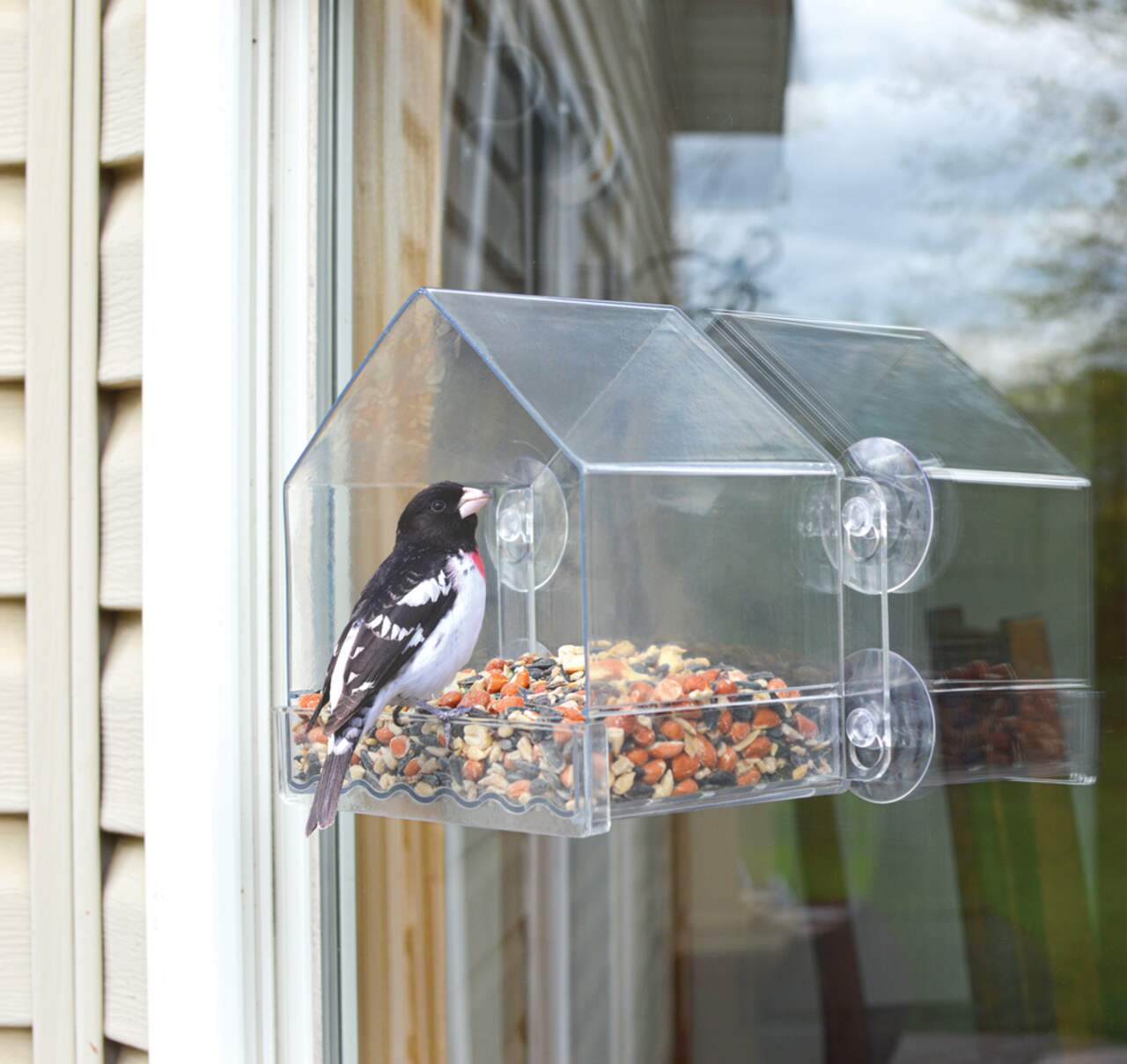 E-Know Lot de 2 mangeoires à oiseaux pour fenêtre avec ventouses
