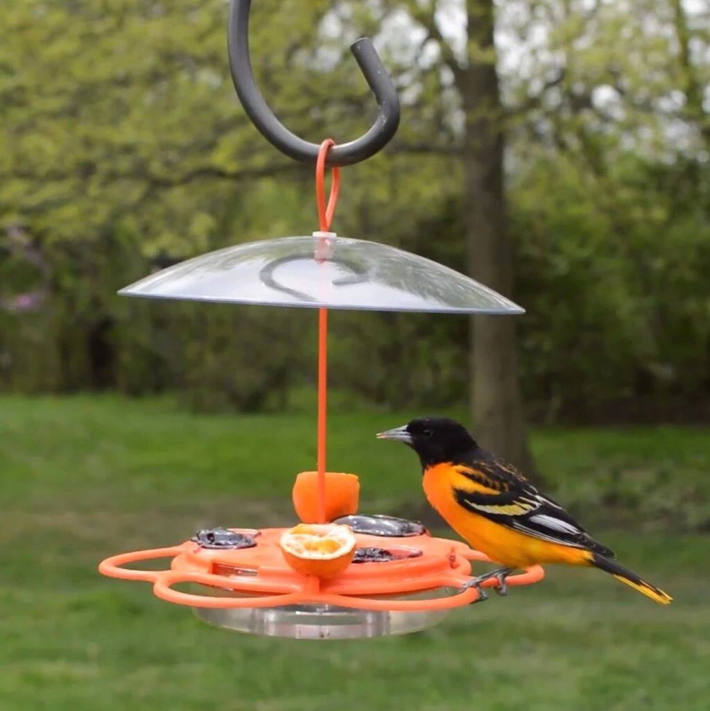 Canadian tire shop bird feeder