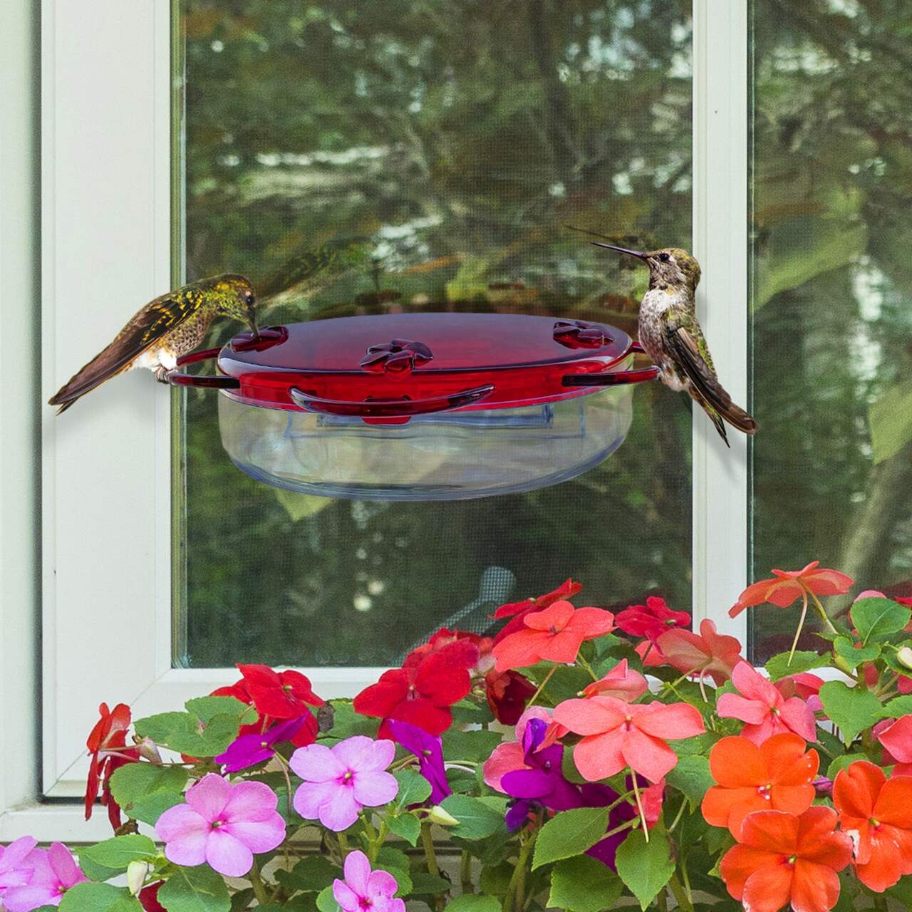 Nature's Way Hummingbird Window Feeder, 8-oz, Red