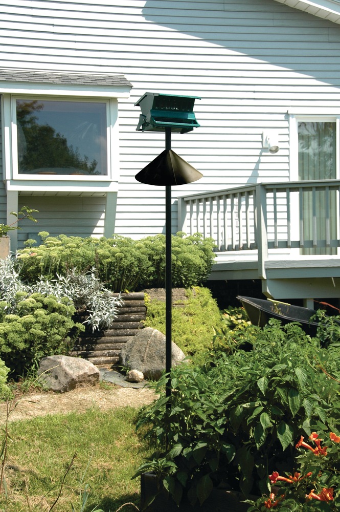 Déflecteur antiécureuil Canadian Tire