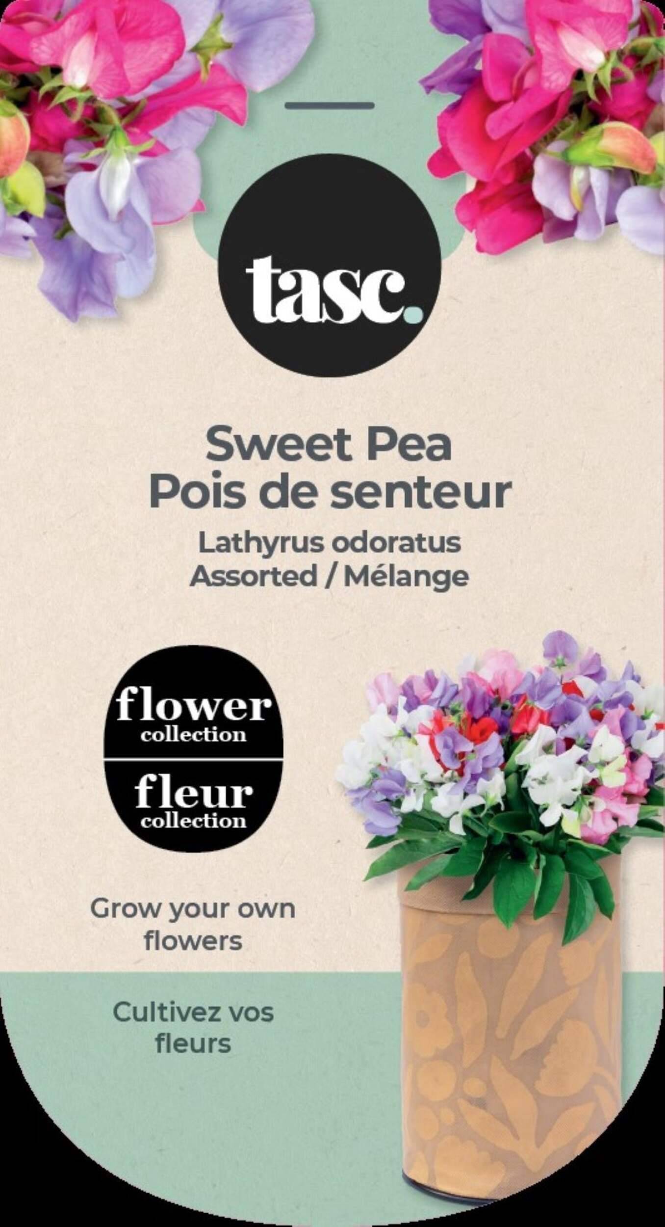 Seeds Are Easy Vegetable Kit, Sweet Peas Front_Flat