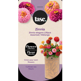 Seeds Are Easy, Trousse de fleurs Zinnia, comprend une jardinière en jute, du terreau d'empotage et des semences Front_Flat