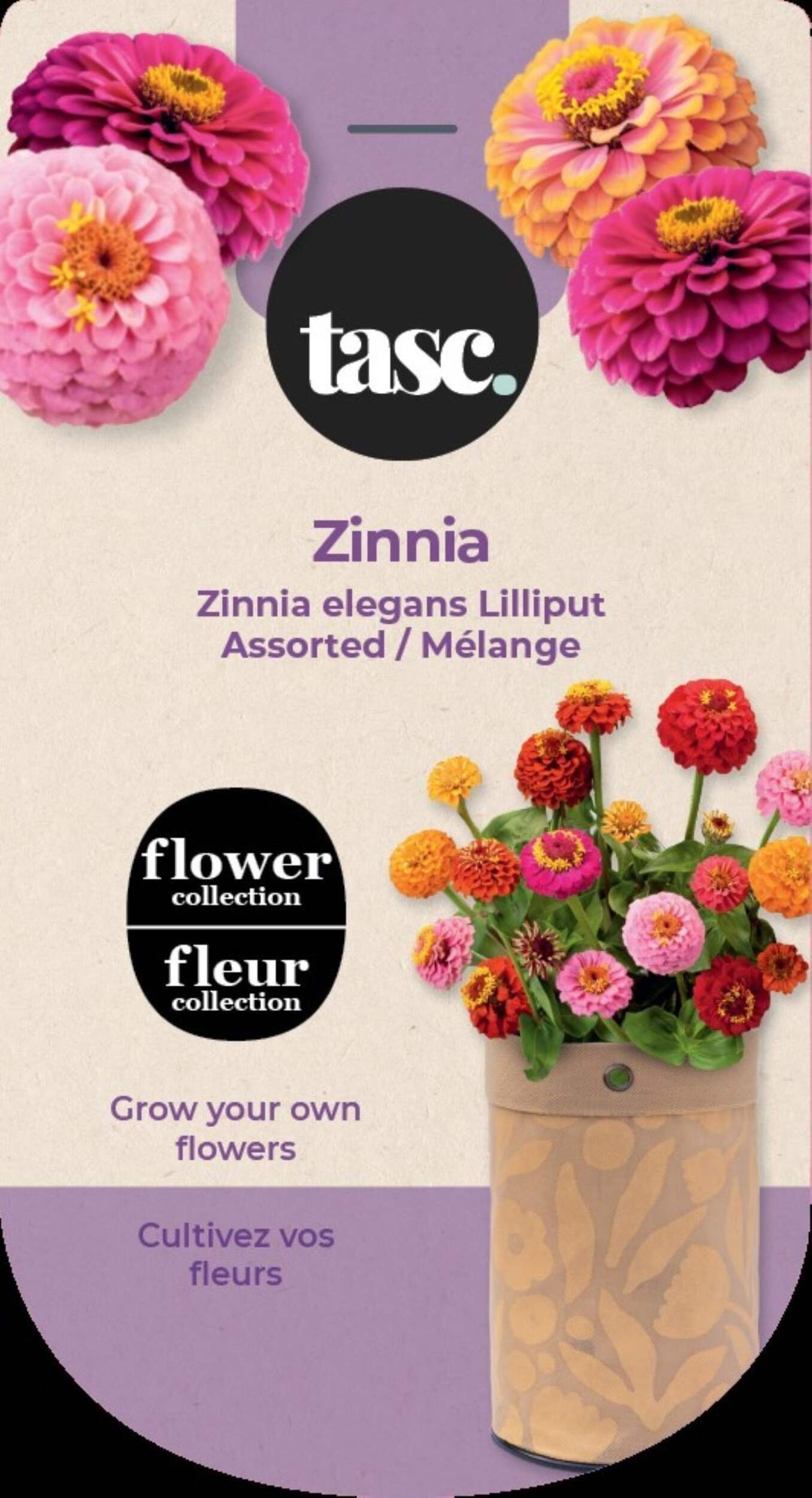 Seeds Are Easy, Trousse de fleurs Zinnia, comprend une jardinière en jute, du terreau d'empotage et des semences Front_Flat