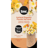 Seeds Are Easy, Flower Kit, Iceland Poppy, Comes with Jute Planter, Potting Soil, Seeds Front_Flat