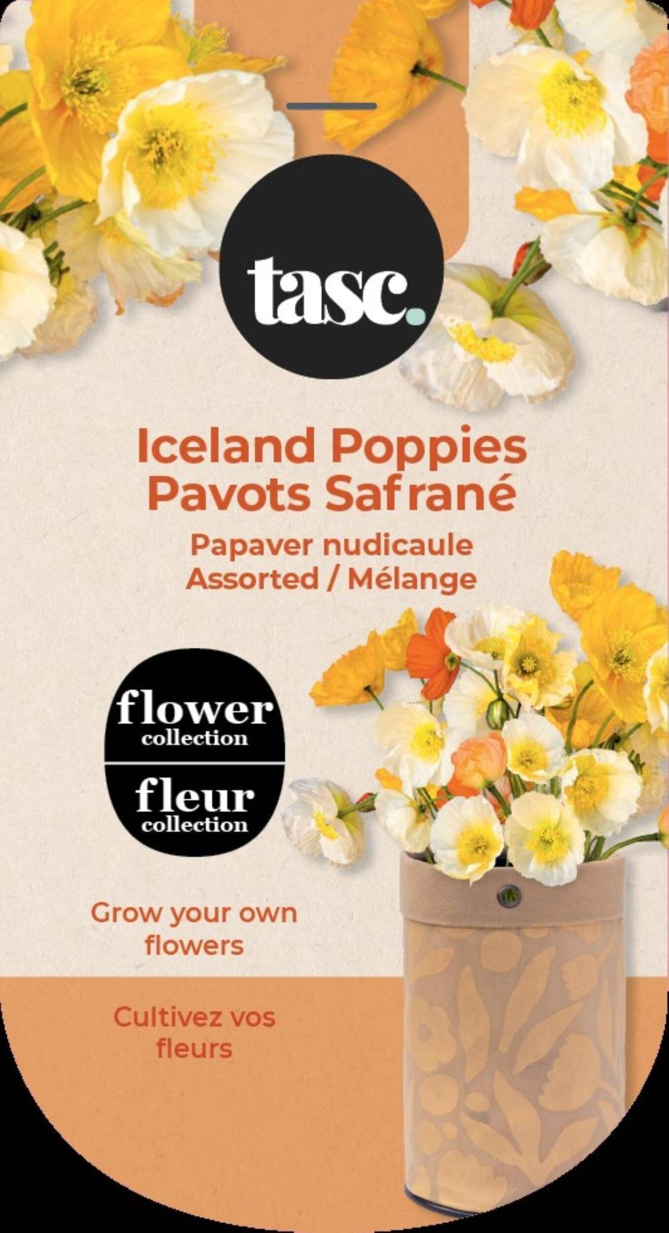 Seeds Are Easy - Trousse de fleurs pavot d'Islande, comprend une jardinière en jute, du terreau d'empotage et des semences Front_Flat