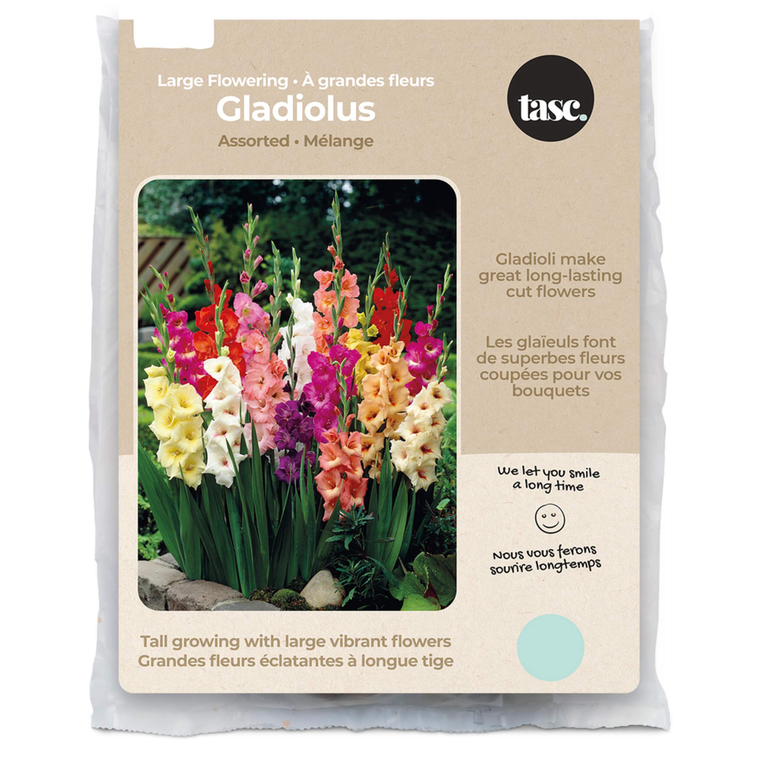 Bulbs Are Easy, Large Flowering Gladiolus Bulbs, Home Garden Front_Flat