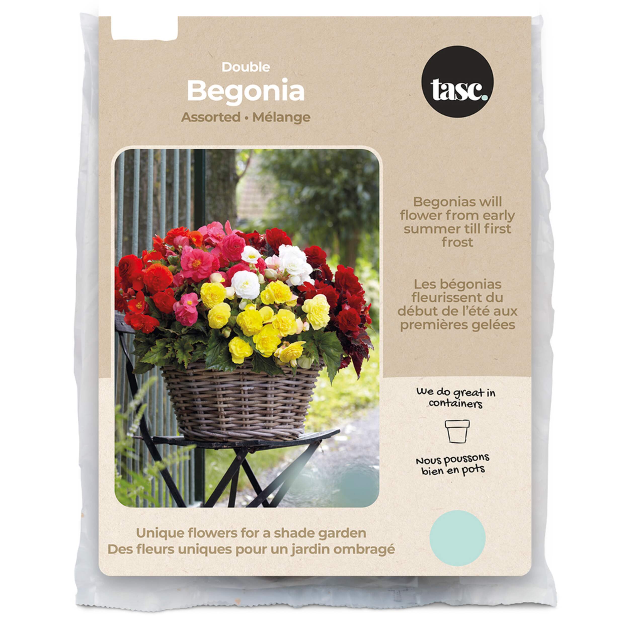 Bulbs Are Easy, bulbes de bégonia doubles, variétés assorties, jardin privé Front_Flat