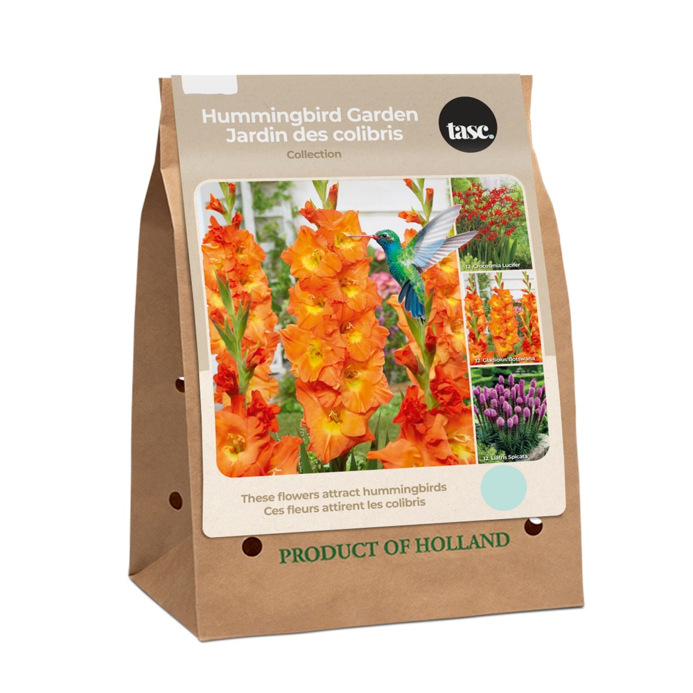 Bulbs Are Easy, Hummingbird Bulb Collection, Attracts Butterflies too