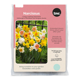 Bulbs Are Easy - Bulbes de narcisse à floraison longue durée assortis, prêts à planter dans votre jardin familial Front_Flat