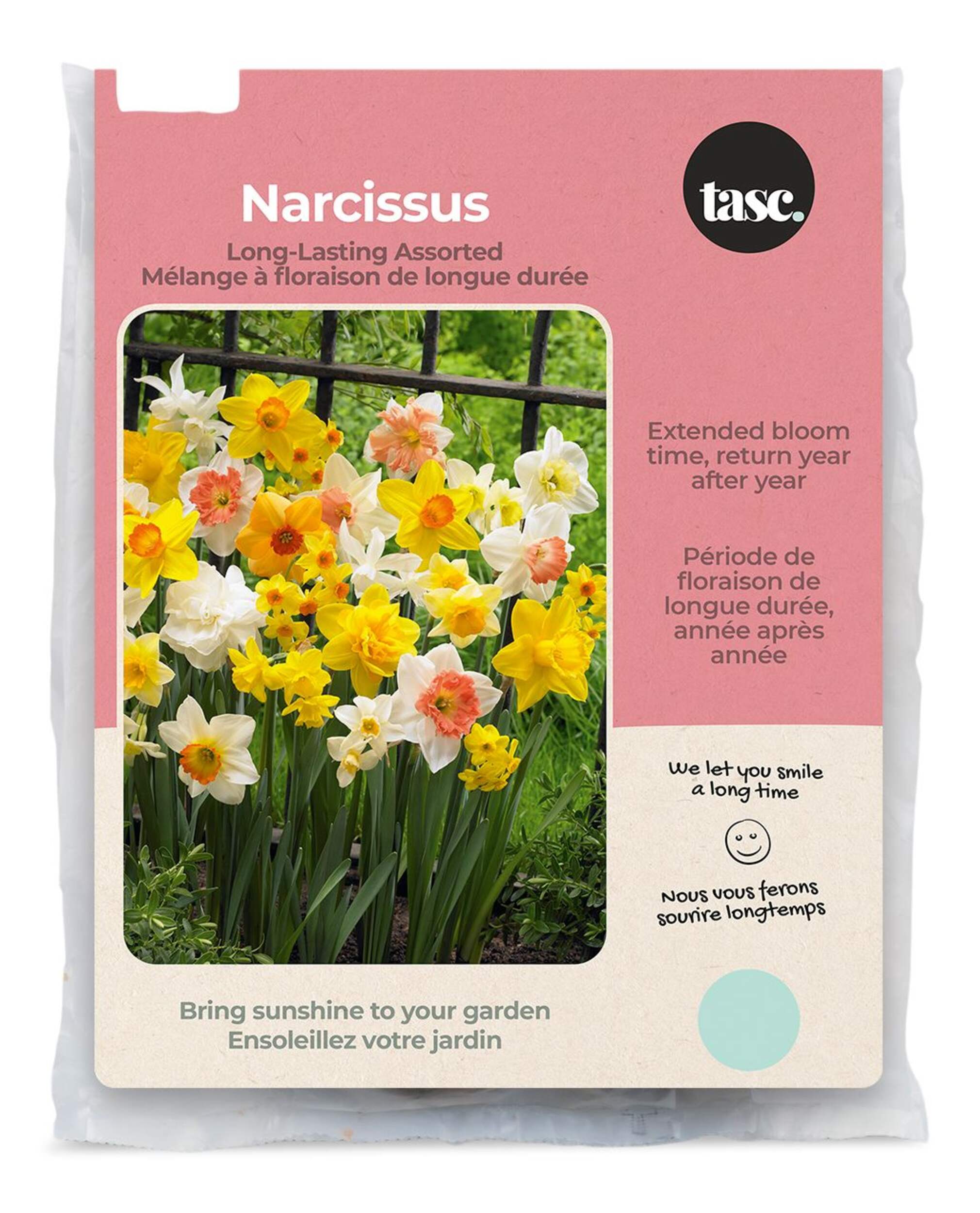 Bulbs Are Easy - Bulbes de narcisse à floraison longue durée assortis, prêts à planter dans votre jardin familial Front_Flat