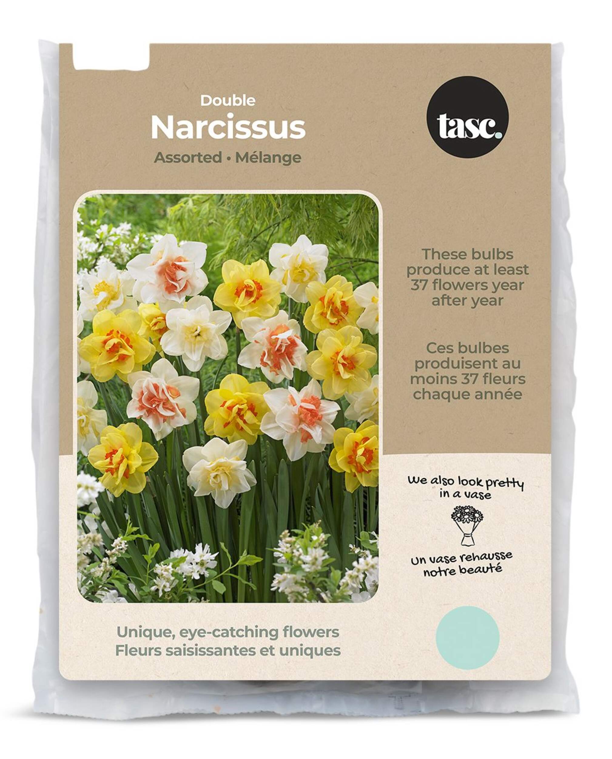 Bulbs Are Easy, Double Narcissi Bulbs, Assorted Varieties, Home Garden Front_Flat
