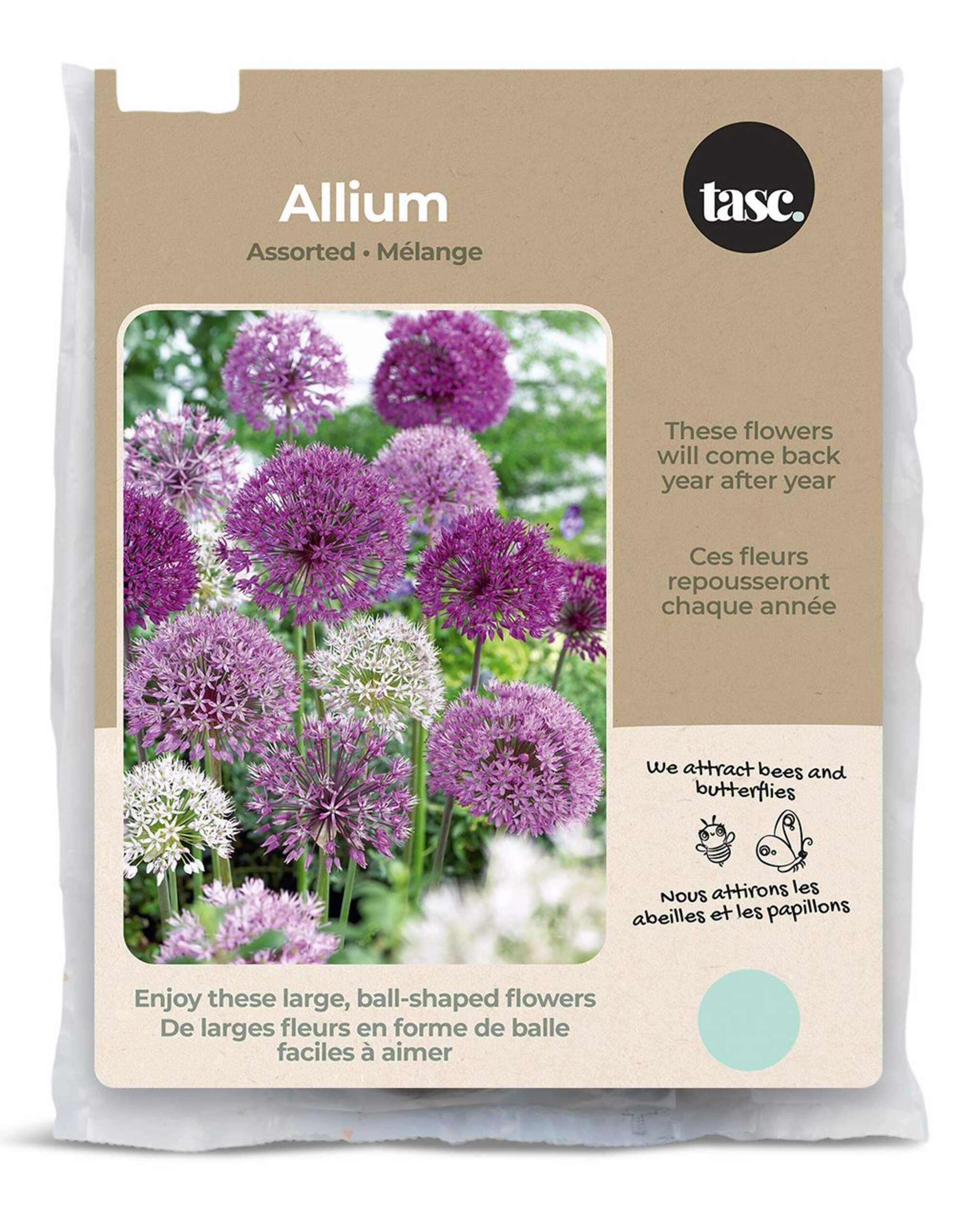 Allium Bulbs, Assorted Varieties, Ready to Plant for your Home Garden, by Bulbs Are Easy Front_Flat