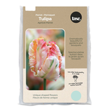 Bulbs Are Easy, bulbes de tulipe Finola double tardive, variétés assorties, jardin privé Front_Flat
