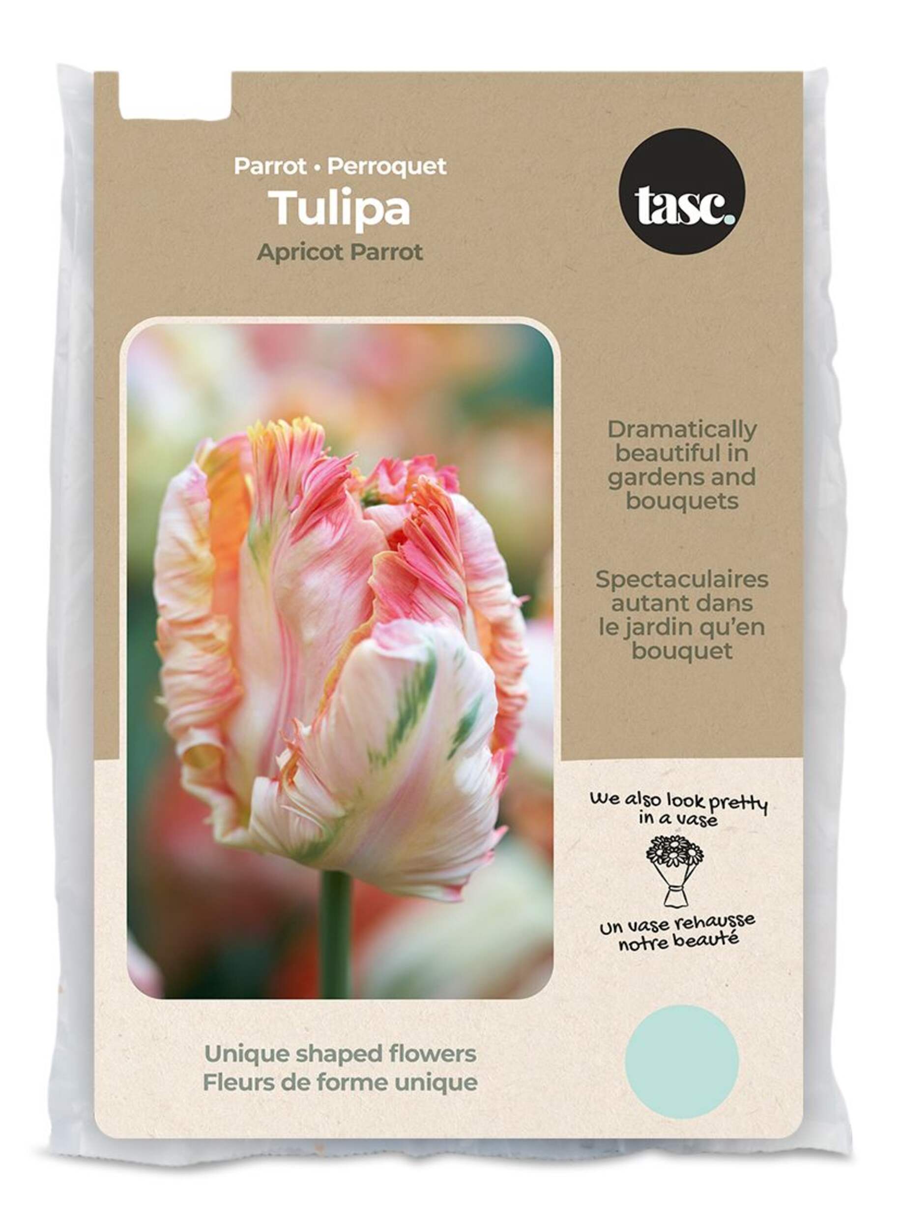 Bulbs Are Easy, Apricot Parrot Tulip Bulbs, Assorted Varieties, Home Garden Front_Flat
