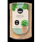 Seeds Are Easy, Tea Kit, Spearmint, Ready to Plant for your Home Garden Front_Elevated